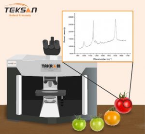 کاربرد طیف سنج رامان پرتابل در تشخیص زمان برداشت گوجه فرنگی
