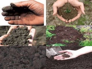 تعیین کیفیت خاک در طیف سنجی