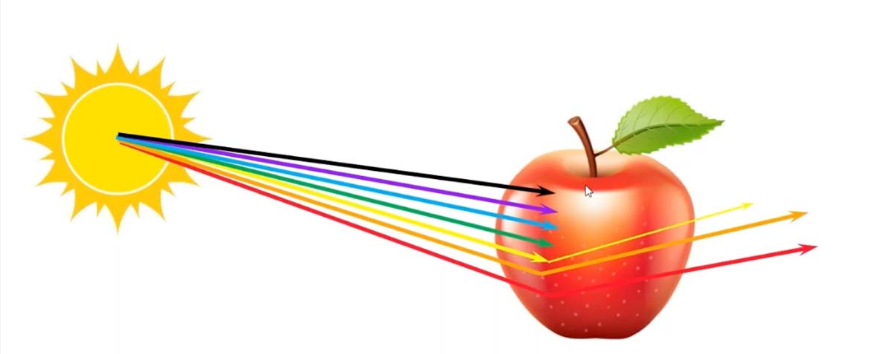 دلیل مشاهده رنگ قرمز سیب