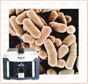 Raman- Biology- Raman Analysis of Single Bacteria Cells- thumbnail